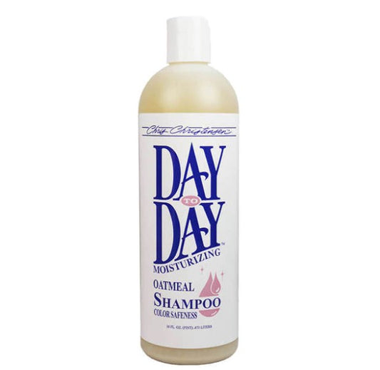 Day to Day Shampoo