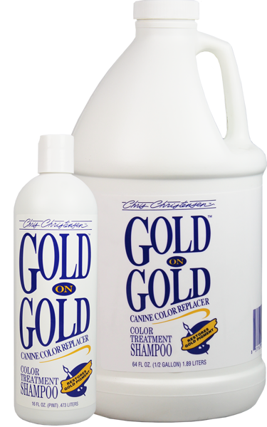 Gold on Gold Shampoo