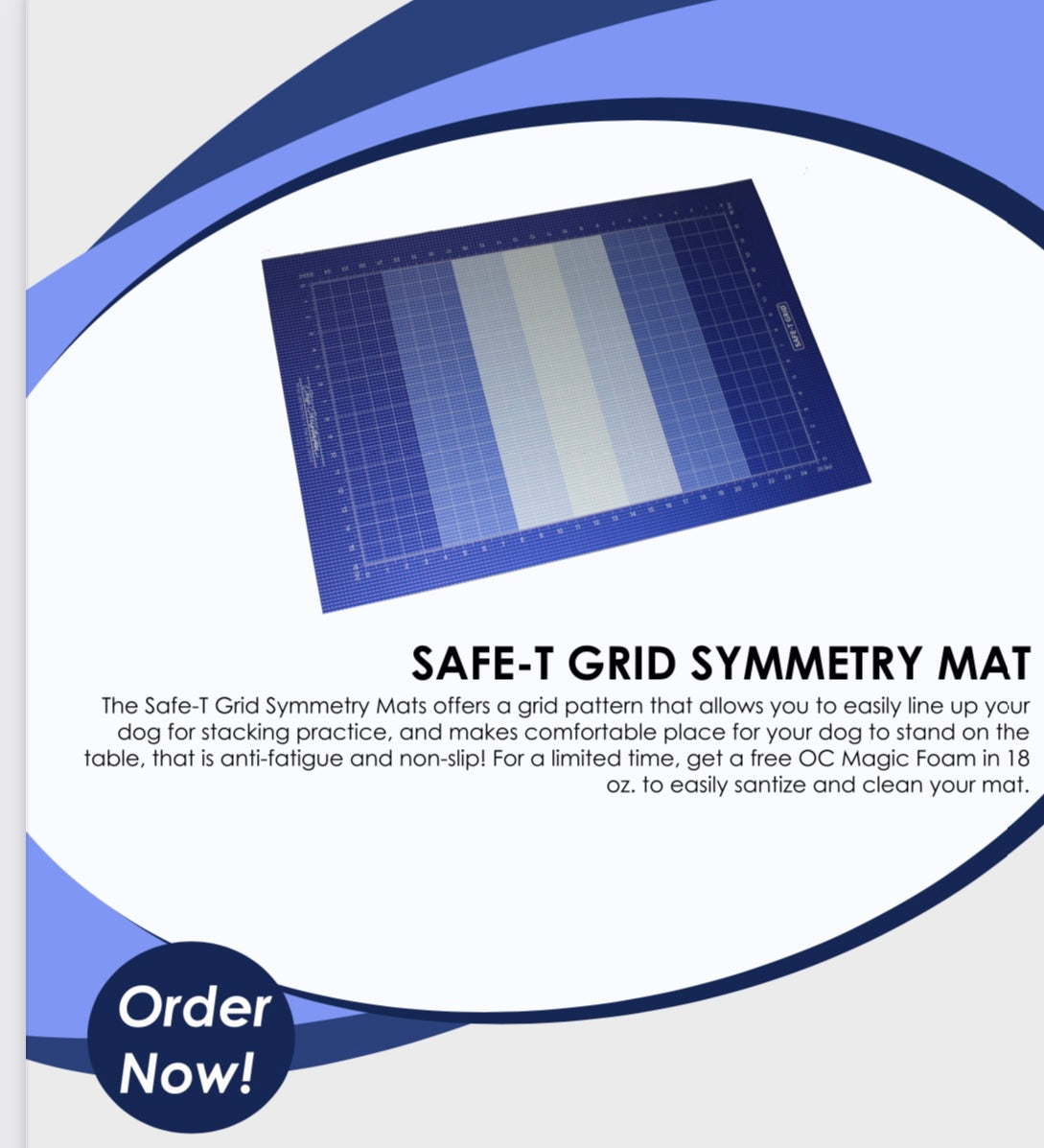 SAFE-T GRID SYMMETRY MAT