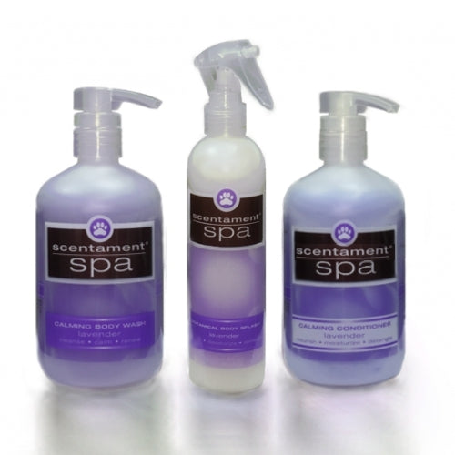 Best Shot Scentament Spa Body Wash - Lavender Aloe - 16oz